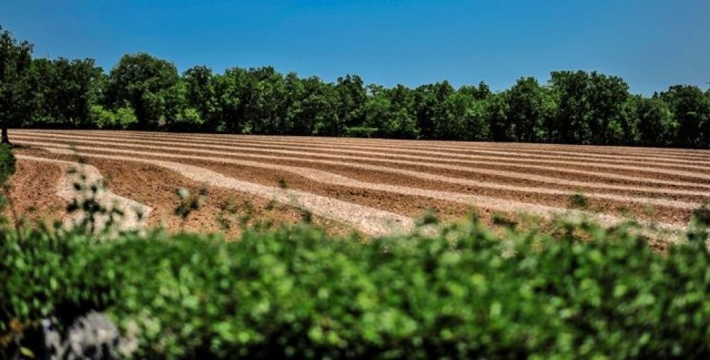 Domaine de bel air - Feldarbeit