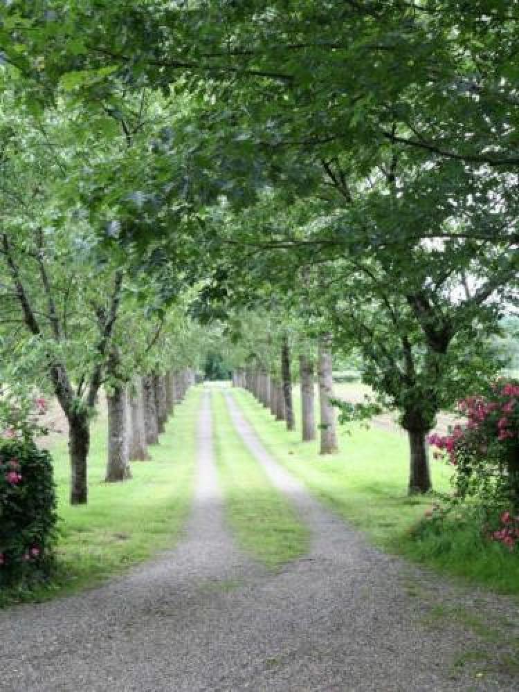 Domaine de Sengresse - Sengresse - gasse