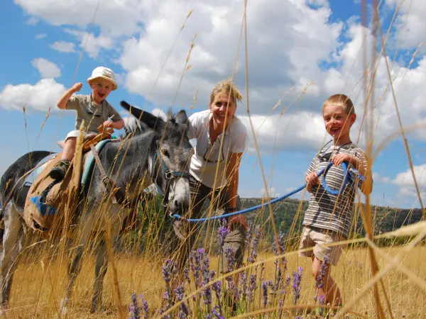 Donkey trek in Hautes Alpes - Activity - Holidays & weekends in Éourres