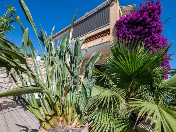 Escapade à Portissol - Location - Vacances & week-end à Sanary-sur-Mer