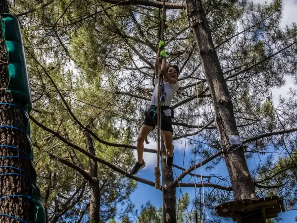 Escapegame in de bomen - Activiteit - Vrijetijdsbesteding & Weekend in Bollène