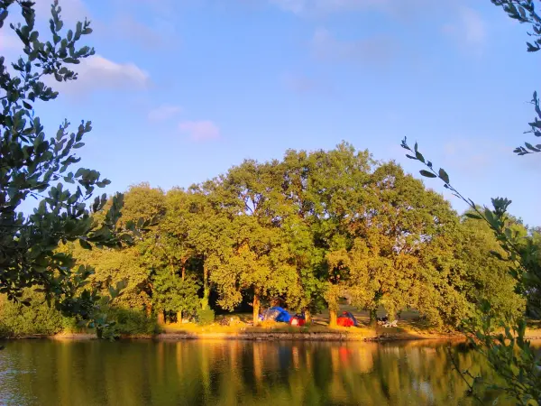 L'étang du Puy - Camping - Vacances & week-end à Saint-Mars-la-Réorthe