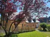 Les Fabulettes - Bed & breakfast - Holidays & weekends in Val-de-Scie