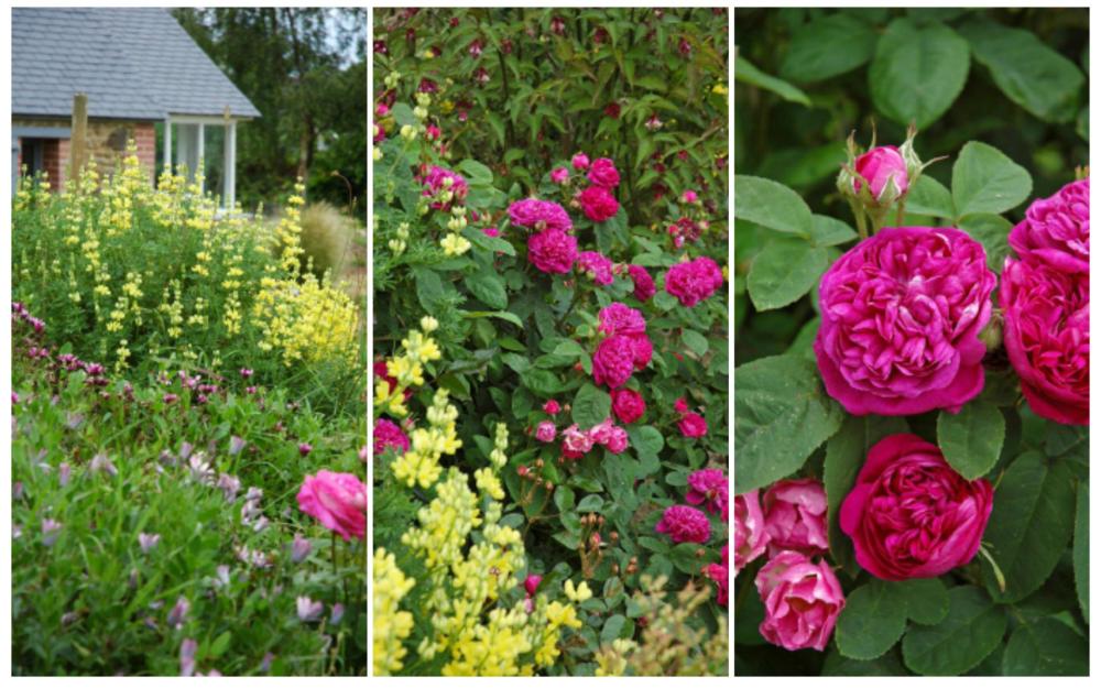 Die Ferienhäuser von Kerégal - Die Hütte im Garten