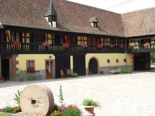 La ferme michel : le bleuet - Alquiler - Vacaciones y fines de semana en Issenhausen
