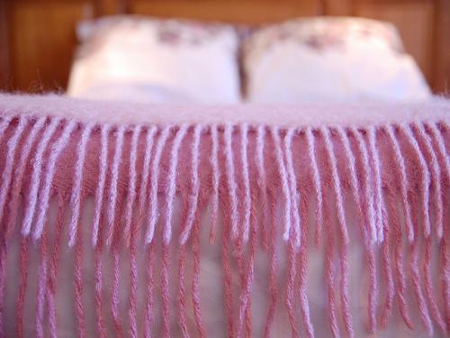 La Ferme des Perriaux - Bed and Breakfast Lin