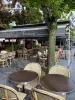Le France - Restaurante - Vacaciones y fines de semana en Fontainebleau