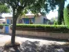 Frangeco - Verhuur - Vrijetijdsbesteding & Weekend in Sainte-Maxime