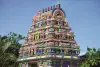 Führung durch den tamilischen Tempel Maryen Peroumal in Saint André - La Réunion - Aktivität - Urlaub & Wochenende in Saint-André