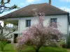 La galochelle - Rental - Holidays & weekends in Montrichard Val de Cher