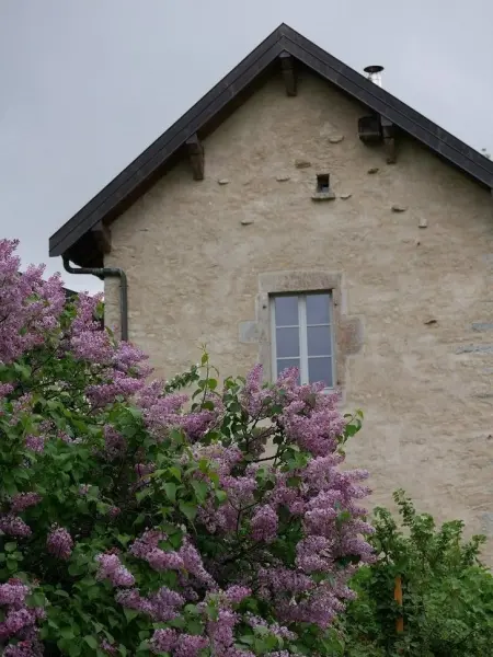 Gîte de l'Angillon - Affitto - Vacanze e Weekend a Vers-en-Montagne