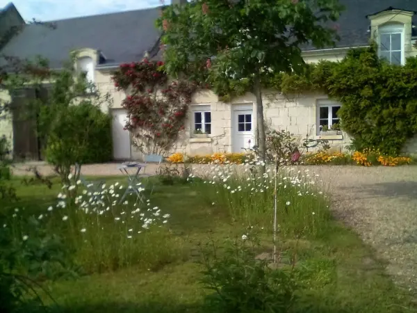 Gite chez le vigneron - Affitto - Vacanze e Weekend a Savigny-en-Véron