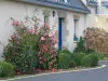 Gîte de Kervao- Camélias, Finistère - Location - Vacances & week-end à Ploudalmézeau