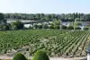 Gîte Loire et Vignoble - Location - Vacances & week-end à Pouilly-sur-Loire