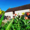 Gîtes de la Ferme des Barres - Rental - Holidays & weekends in Mennetou-sur-Cher