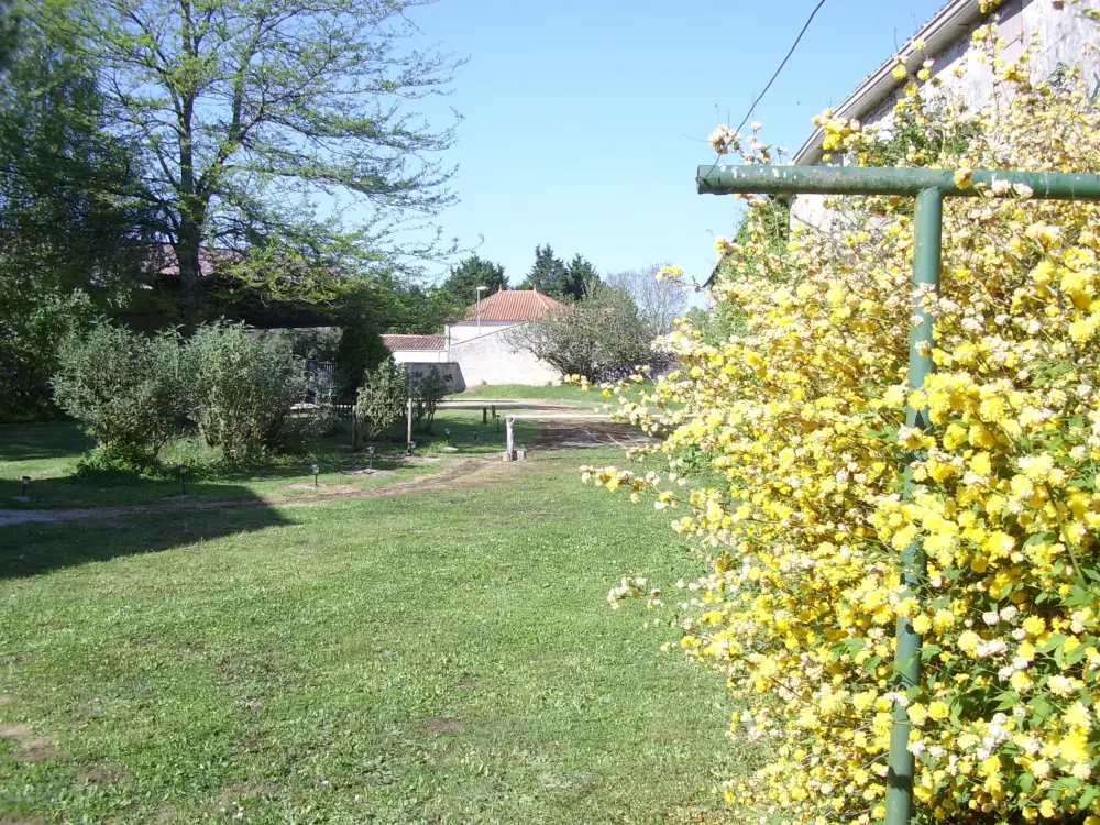 La Glycine