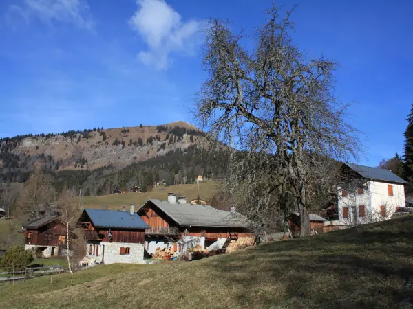 Le Hameau de Chantemerle, jusqu'à29 couchages - Location - Vacances & week-end à Samoëns