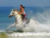 Horse ride in the forest and on the beach - Activity - Holidays & weekends in Mimizan