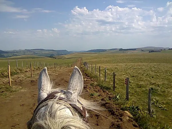 Horse ride in Green Beaujolais - Activity - Holidays & weekends in Chamelet