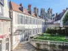 L'Hotel de Panette, Un exceptionnel château en ville - Habitación independiente - Vacaciones y fines de semana en Bourges