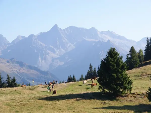 Idéal Camping - Camping - Vacances & week-end à Allevard
