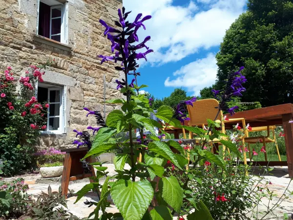 Les Jonquilles - Rental - Holidays & weekends in Échandelys