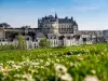 Journée découverte en minibus : Châteaux d'Amboise, Chenonceau, Chambord et Clos Lucé - Au départ de Tours - Activité - Vacances & week-end à Tours