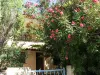 Lavanda y Sol, Sus Vacaciones en el Paraíso - Alquiler - Vacaciones y fines de semana en Les Salles-sur-Verdon