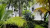 Lychee Boucan Beach Appartement - Verhuur - Vrijetijdsbesteding & Weekend in Boucan Canot