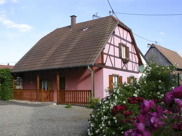 La maison d'alsace - Location - Vacances & week-end à Stotzheim