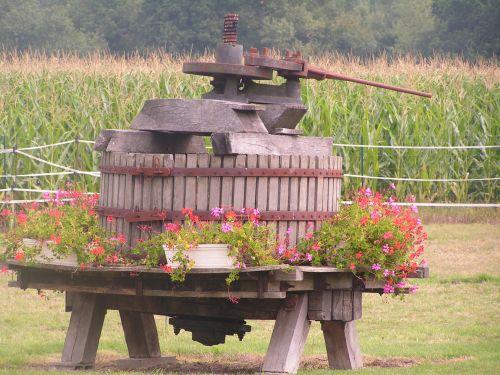 Maison d'Hôtes La Quèrière - Blumen
