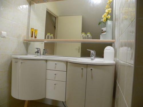 Maison d'Hôtes La Quèrière - Dusche Orchideen