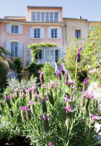 Maison de Maître Des-Sens - Affitto - Vacanze e Weekend a Nyons