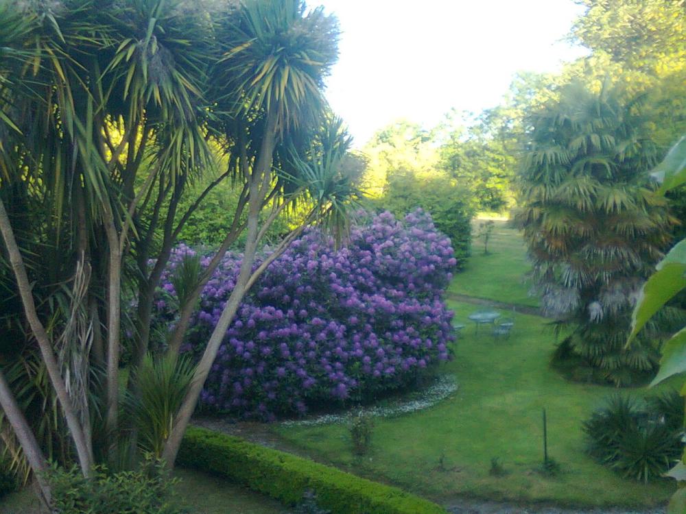 Manoir de bellauney - Gartenblick