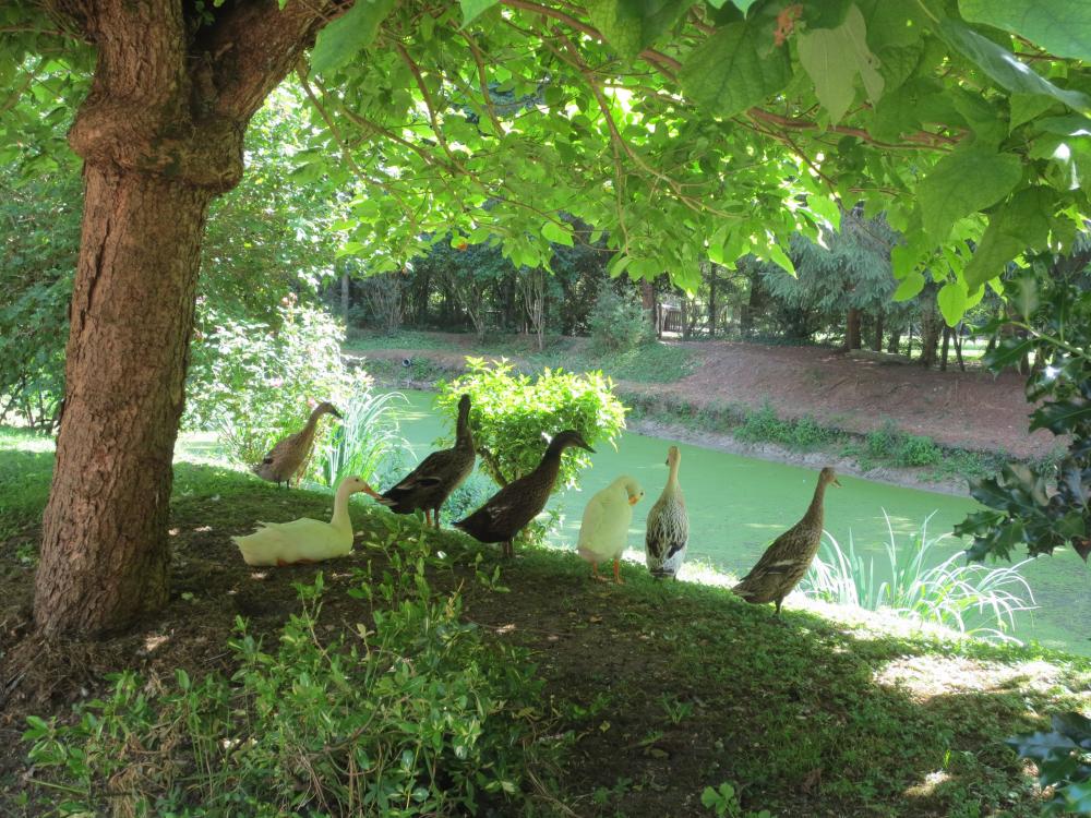 Die Maréchalerie im Loire-Tal