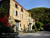 Mas l'Andreu - Gîte Guillaume de Gausselme - Location - Vacances & week-end à Corsavy