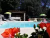 The Mas of Hibiscus - Rental - Holidays & weekends in Trans-en-Provence