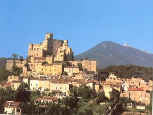 Mas de Longuefeuille - Il villaggio e il Mont Ventoux Barroux