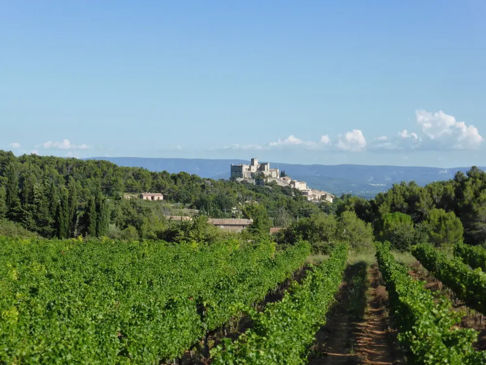 Le Mas de la Syrah - Le-Barroux