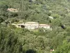 Massacan-Sea View - Bed & breakfast - Holidays & weekends in Le Lavandou