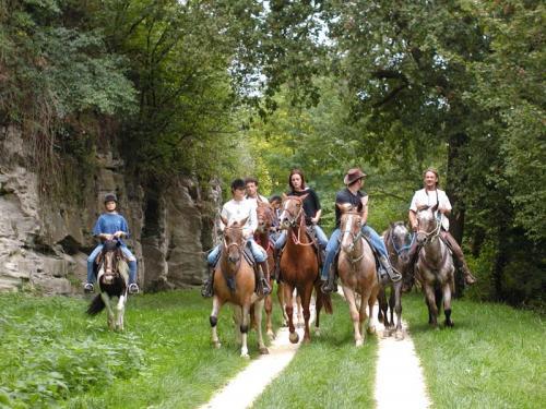 Missandre Die 5. Jahreszeit - Reiten um Saint Pastour