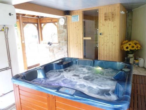 Moulin de la Planche Ferrand - Jacuzzi und Sauna und hamamm