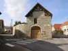 Musée de Bouteilles Anciennes - Activité - Vacances & week-end à Celles-sur-Ource