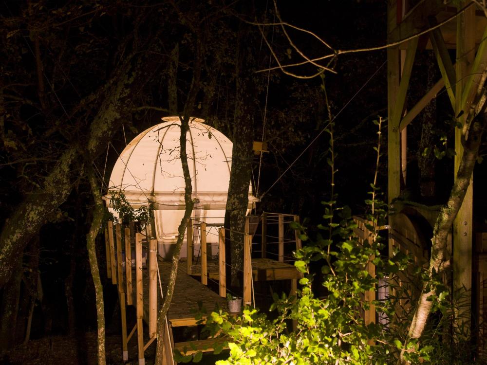 Natura-Lodge - Cocoon Tree bei Nacht !
