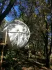 Natura-Lodge - La Cocoon Tree, élue 'Nid préféré des oiseaux' !!!