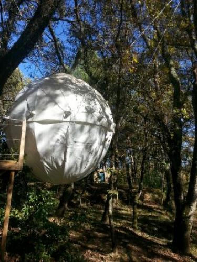 Natura-Lodge - Der Cocoon Baum, gewählt "Lieblings Vogelnest" !!!