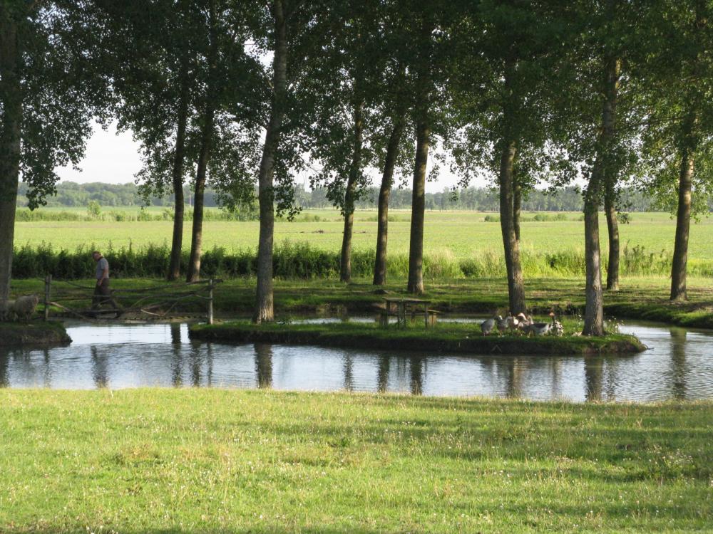 Nieder des Vignes - Teich / der Teich