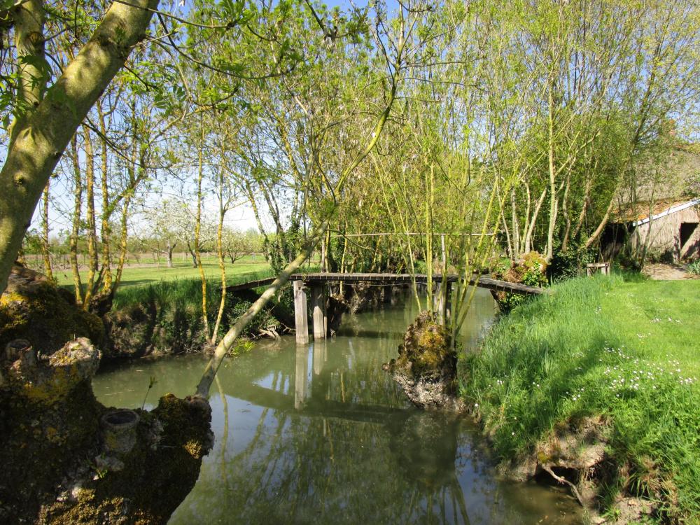 Nieder des Vignes - Das "grüne Venedig"