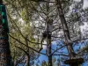 Outdoor treetop escape game - Activity - Holidays & weekends in Bollène