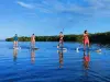 Paddle board ride in the Guadeloupean mangrove - Departing from Morne-à-l'Eau - Activity - Holidays & weekends in Morne-à-l'Eau